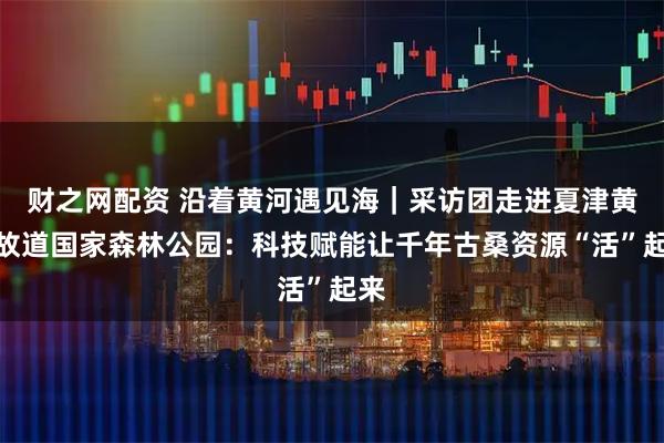 财之网配资 沿着黄河遇见海｜采访团走进夏津黄河故道国家森林公园：科技赋能让千年古桑资源“活”起来