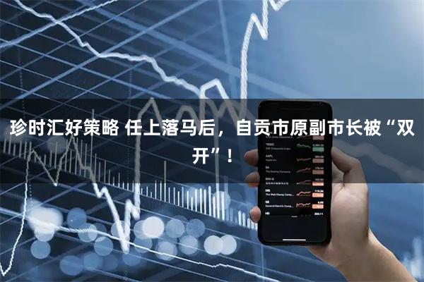 珍时汇好策略 任上落马后，自贡市原副市长被“双开”！