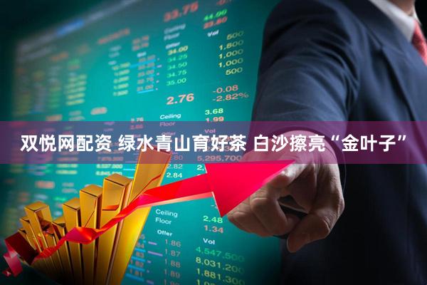 双悦网配资 绿水青山育好茶 白沙擦亮“金叶子”